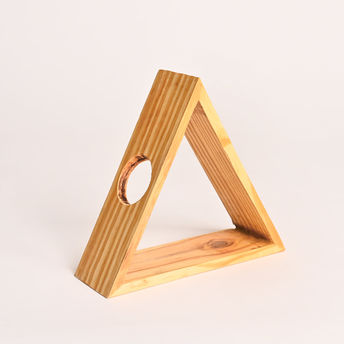 Triangular- Test Tube Vase