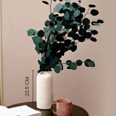 White Long Vase With Million Dollar Eucalyptus