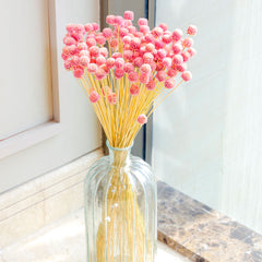 Gomphera with Crystal Glass vase-Light Pink