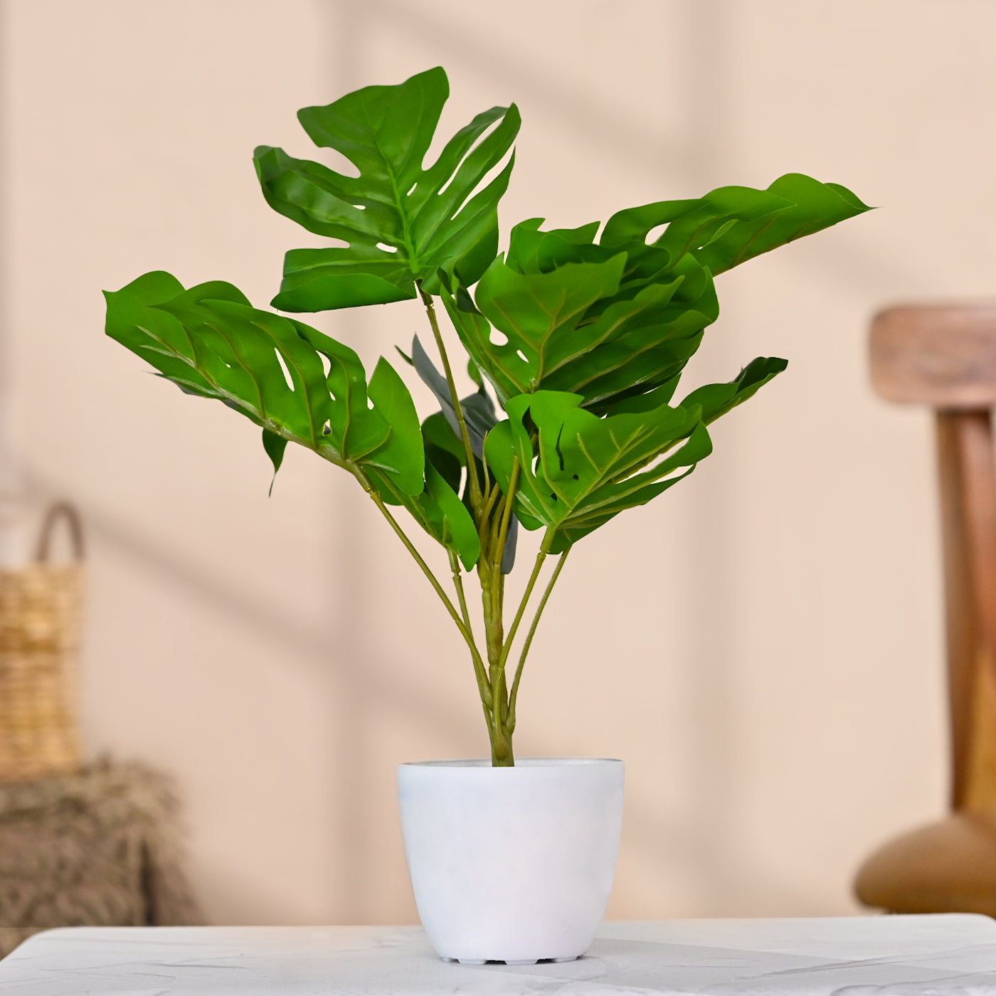 Set of 1 Artificial Plants with Pot