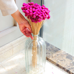 Gomphera with Crystal Glass vase-Dark Pink