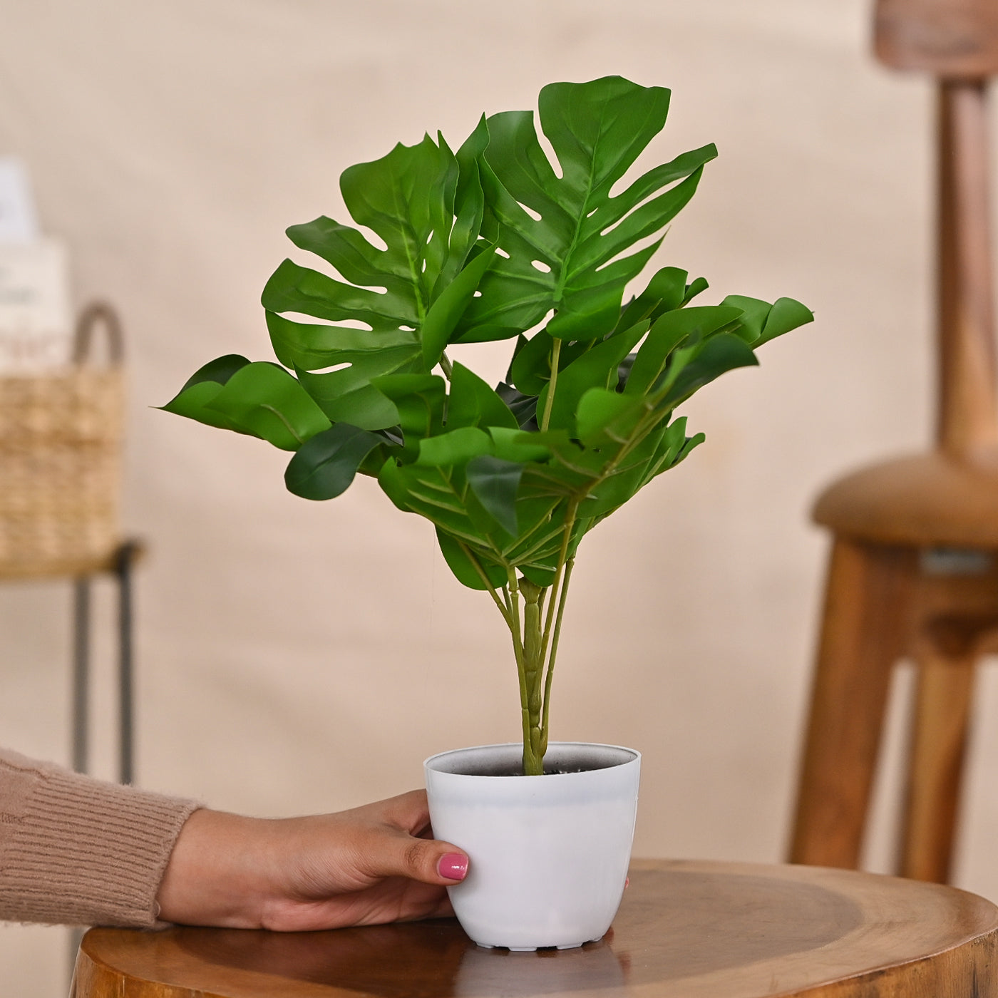Set of 1 Artificial Plants with Pot