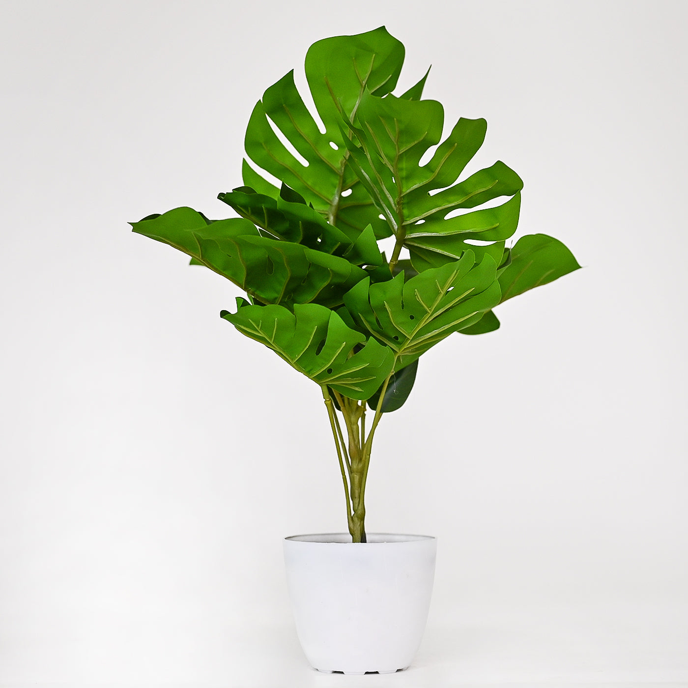Set of 1 Artificial Plants with Pot