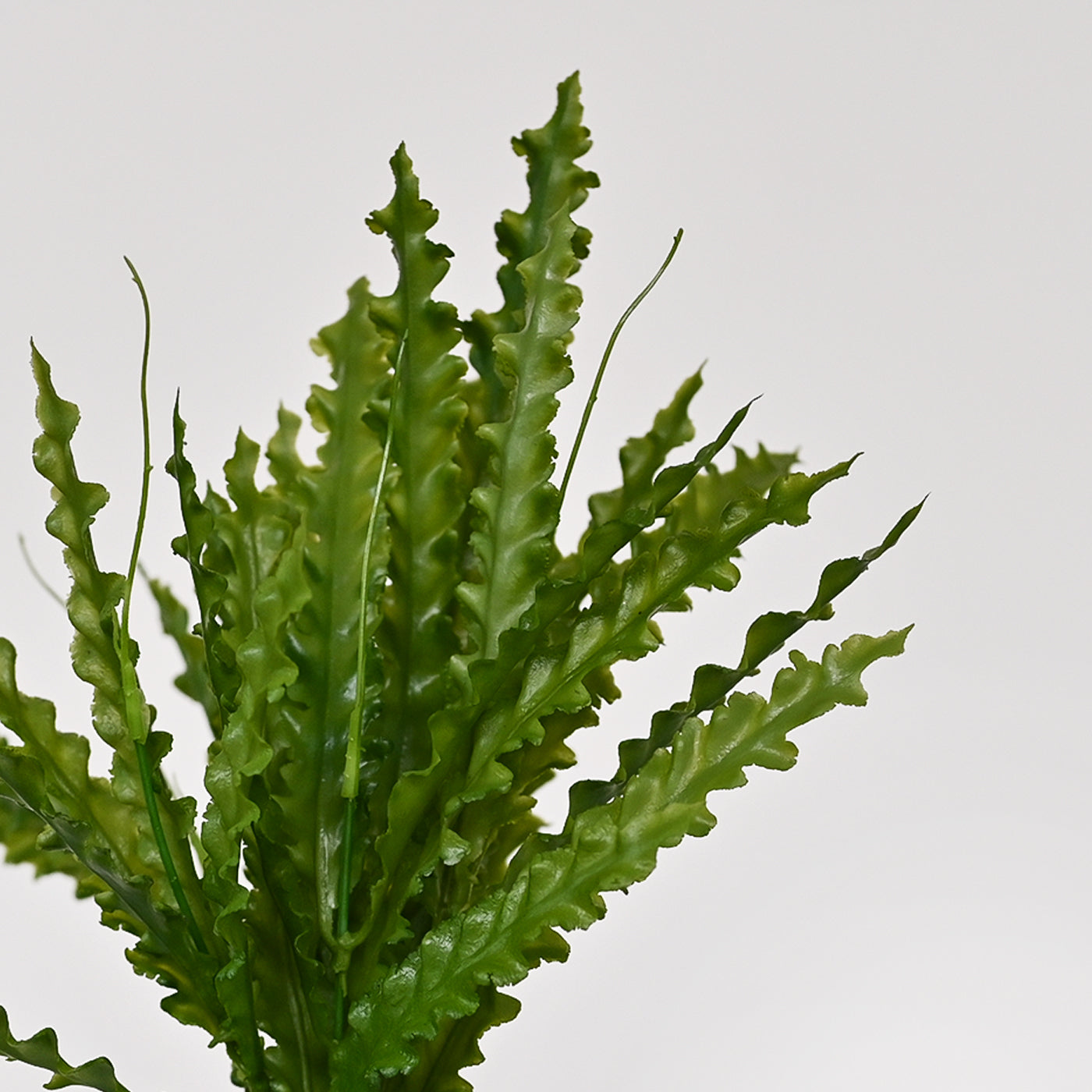 Set of 1 Artificial Plants with Pot