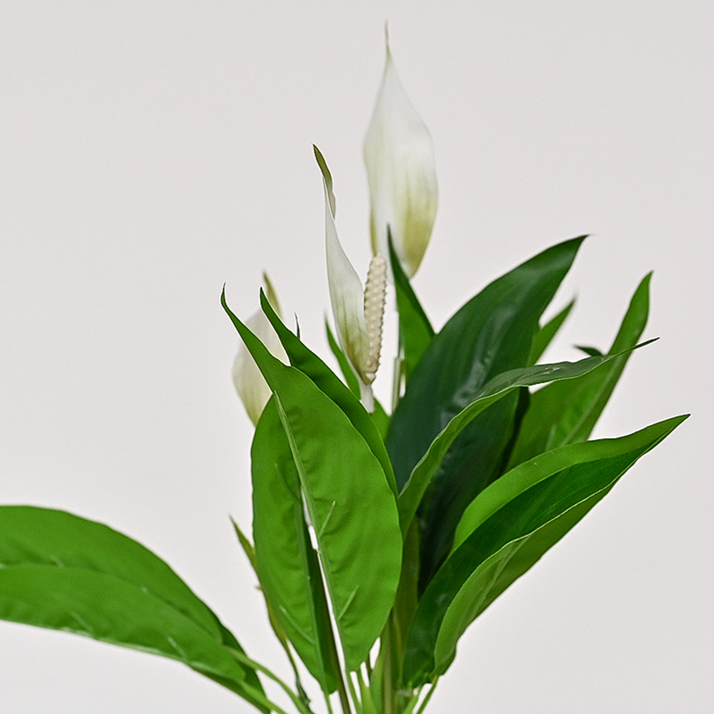 Set of 1 Artificial Plants with Pot