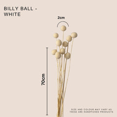 Billy Ball White