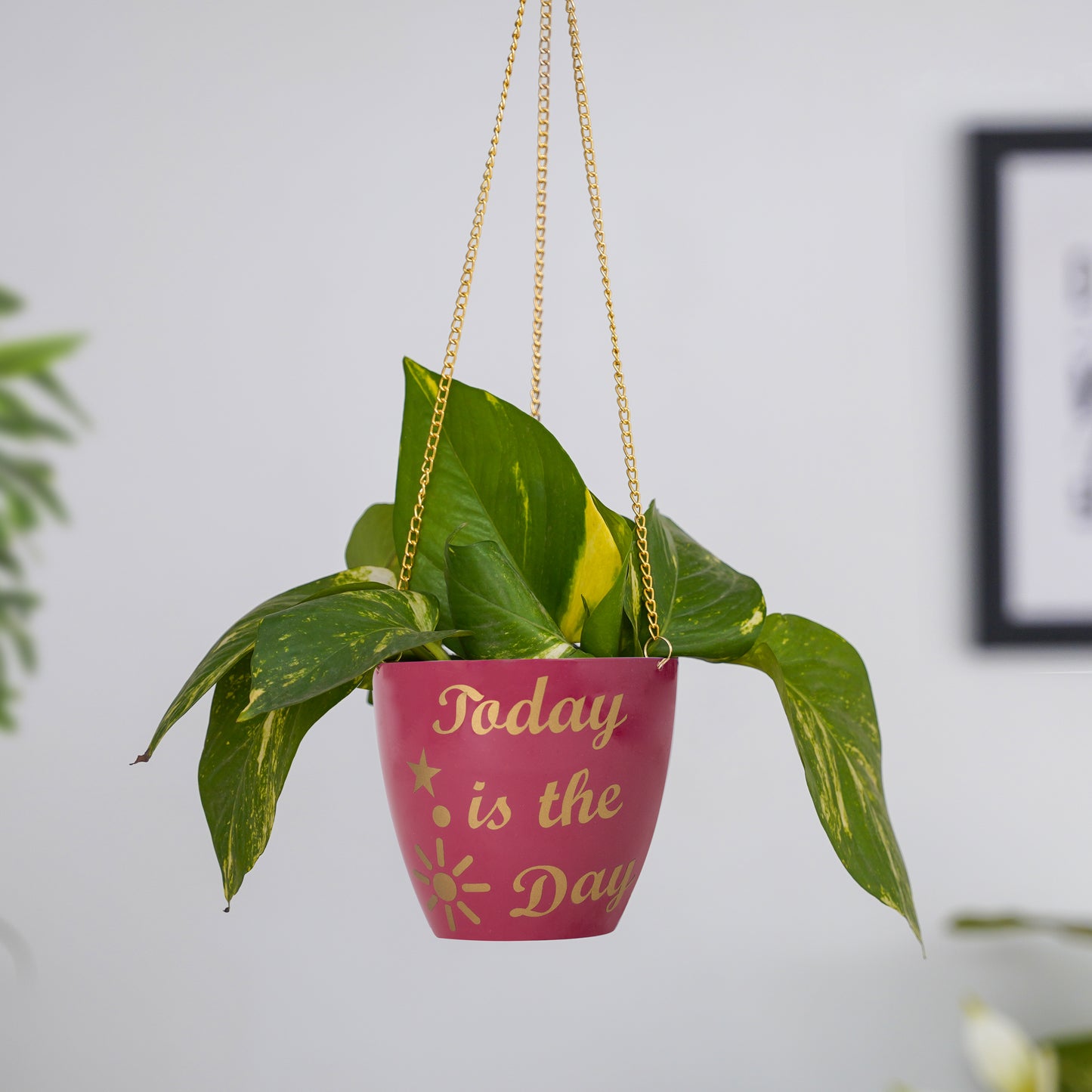 Metal Hanging Planter with Chain for Home & Office Decor