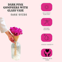 Gomphera with Crystal Glass vase-Dark Pink