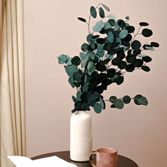 White Long Vase With Million Dollar Eucalyptus