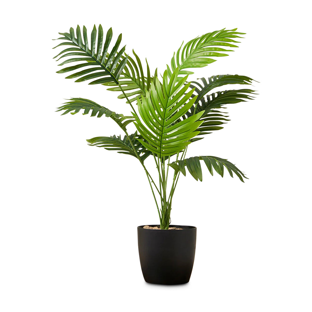 Artificial Areca Palm Plant for Home and Office Decor Gifting Natural Looking Indoor and Outdoor Plant Garden Interior Balcony Decoration (With Pot)