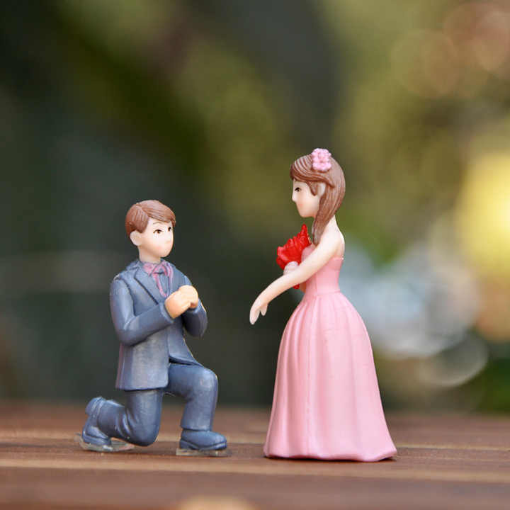 Groom and Bride Doll Wedding Party Cake Topper