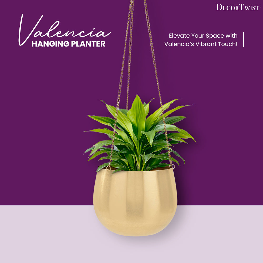Valencia Metal Hanging Planter Gold -Small