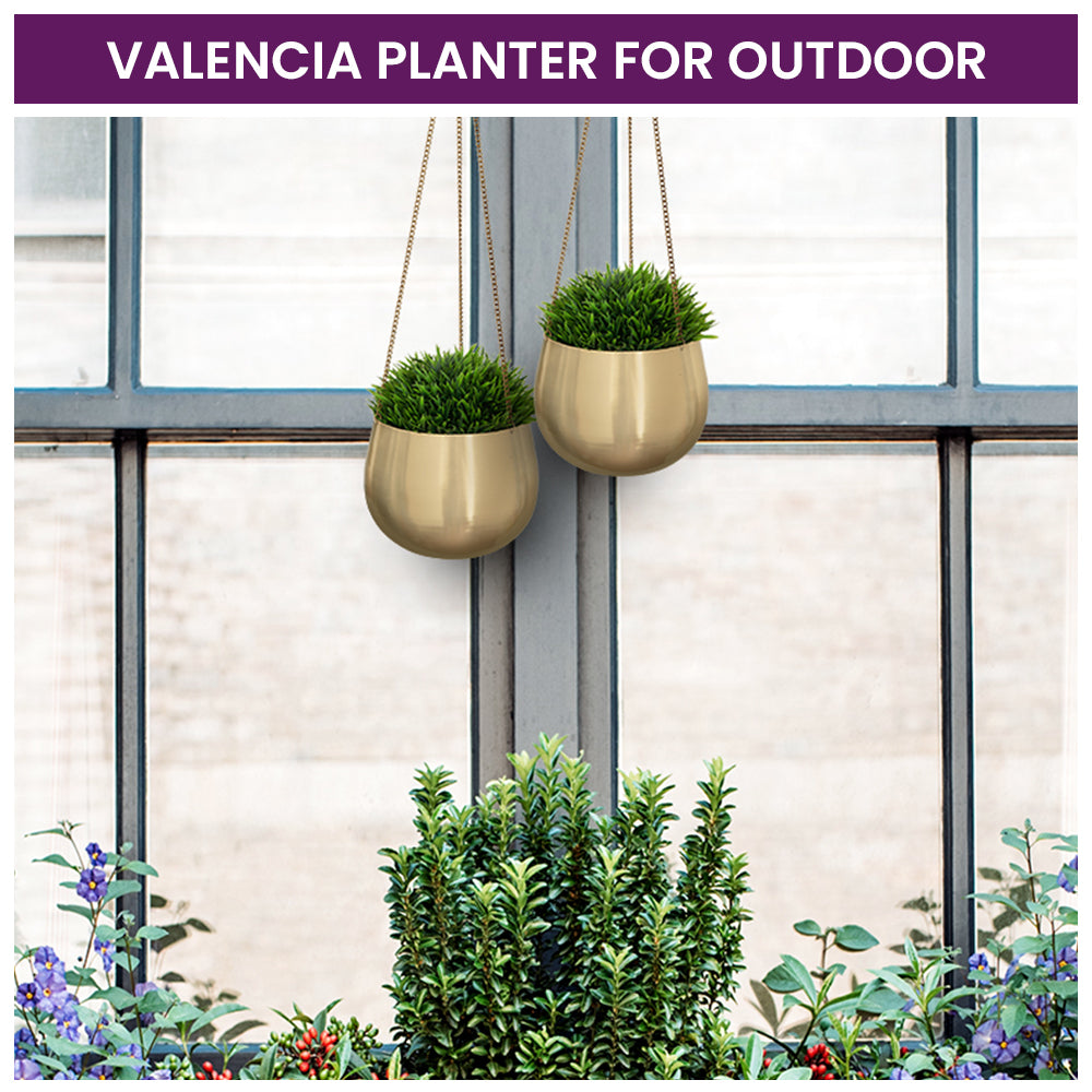 Valencia Metal Hanging Planter Gold -Small