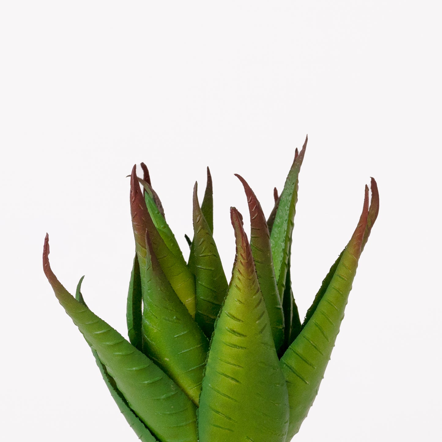 Cute Orange Basket Girl Succulent Planter with Plants For Home Garden Office Desktop