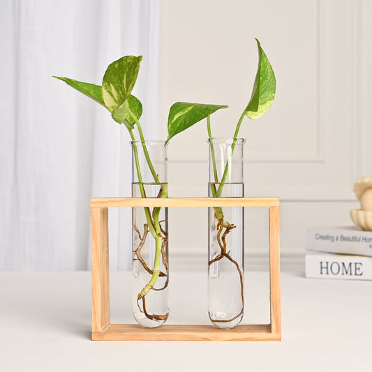 Rectangular Test Tube Vase