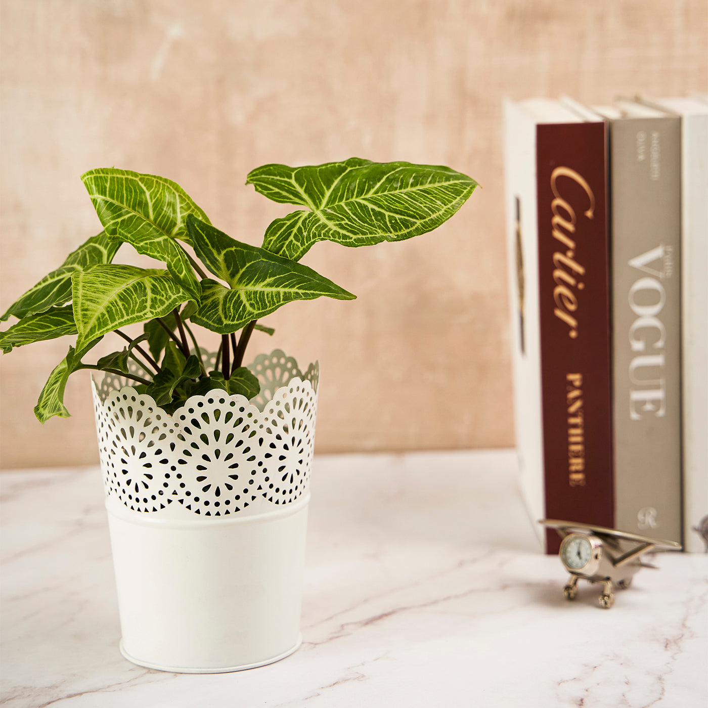 Metal Planter Flower Pot For Home Garden Office Desktop- White