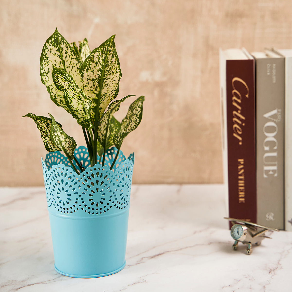 Metal Planter Flower Pot For Home Garden Office Desktop
