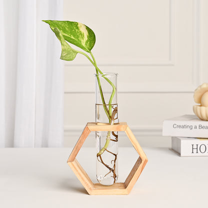 Hexagon- Test Tube Vase