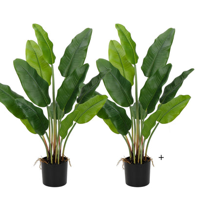 Artificial Real Touch Bananan Plant in a Pot for Interior Decor/Home Decor/Office Decor (75 cm Tall, Green, Set of 2)