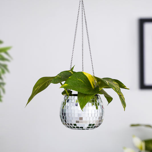 DISCO Round Metal Hanging Planter with Chain for Home & Office Decor