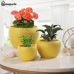 Elegant Yellow Matte Finished TableTop Planters(Set of 3)