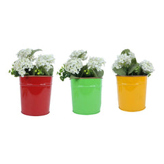 Set of 3 Plain Metal Pots for Home and Garden Decoration (Red/Green/Yellow)