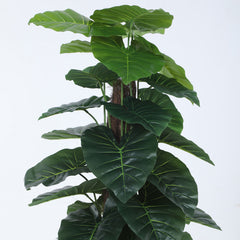 Beautiful Artificial PVC Silk Rubber Plant with Big Leaves and for Home and Office Décor (With Pot, 120 cm Tall)