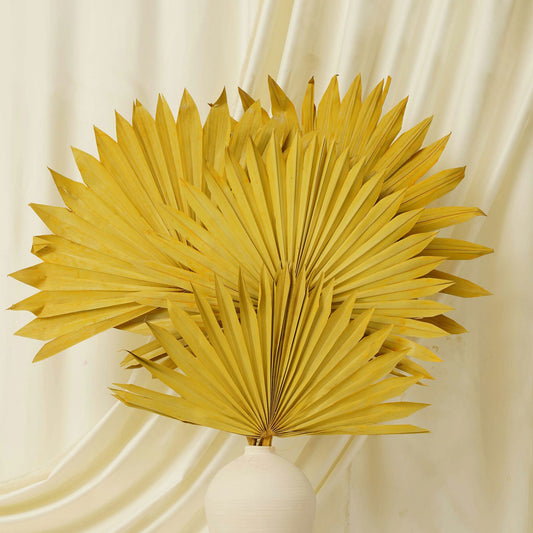 Sun Spear Rich Yellow (SET OF 5)