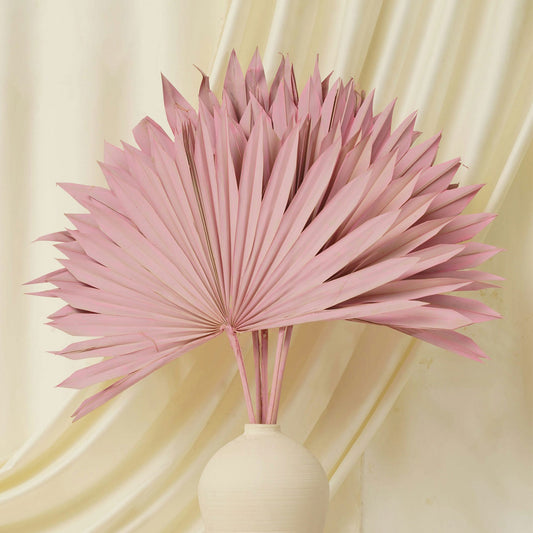 Sun Spear Pink (SET OF 5)