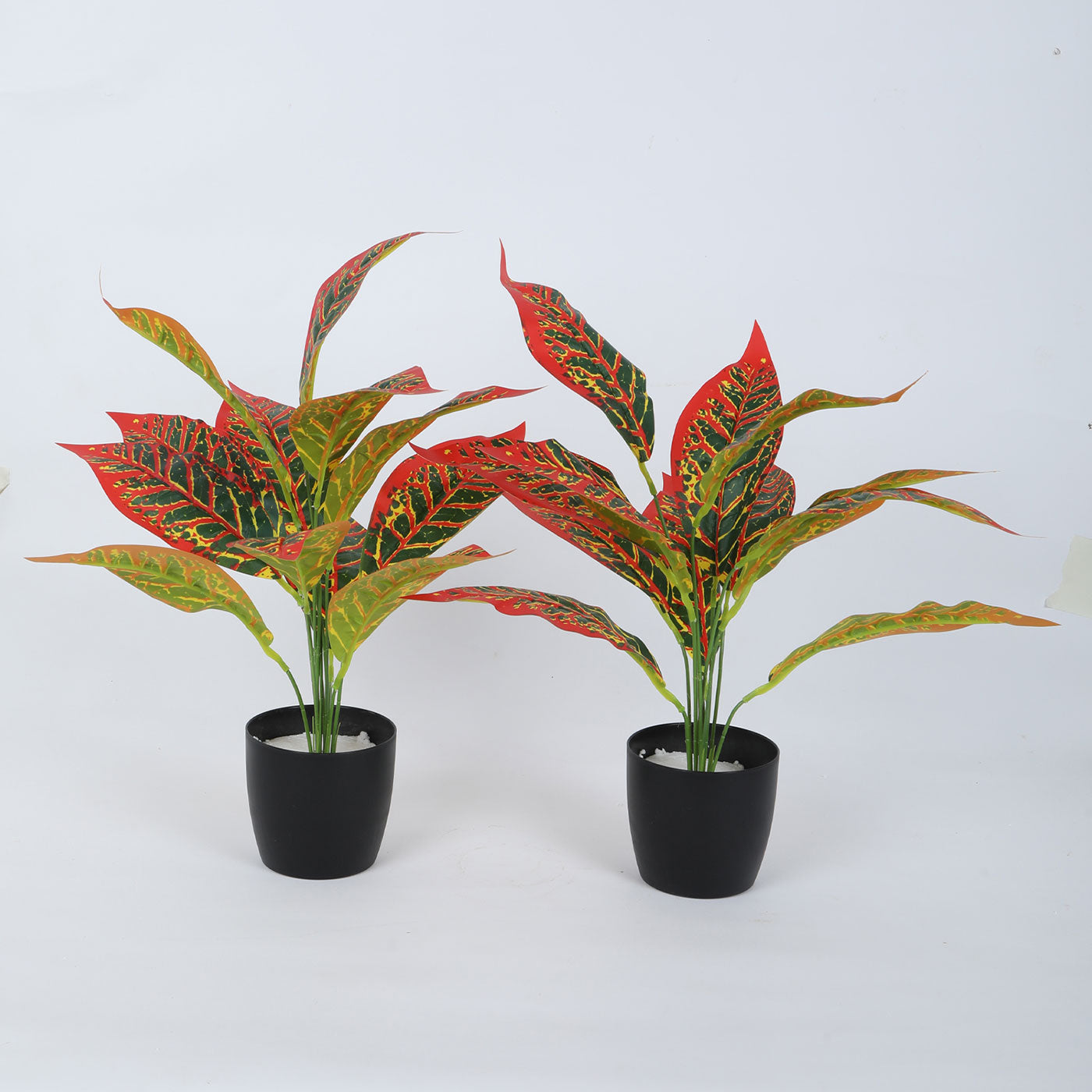 Beautiful Artificial Croton Plant Mini Bush Basic Black Pot for Interior Decor/Home Decor/Office Decor (50 cm Tall, Red, Pack of 2)