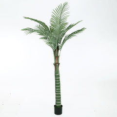 Artificial Areca Palm Plant for Home Decor/Office Decor/Gifting | Natural Looking Indoor Plant (With Pot, 200 cm Tall)