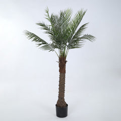 Artificial Areca Palm Plant for Home Decor/Office Decor/Gifting | Natural Looking Indoor Plant (With Pot, 150 cm)