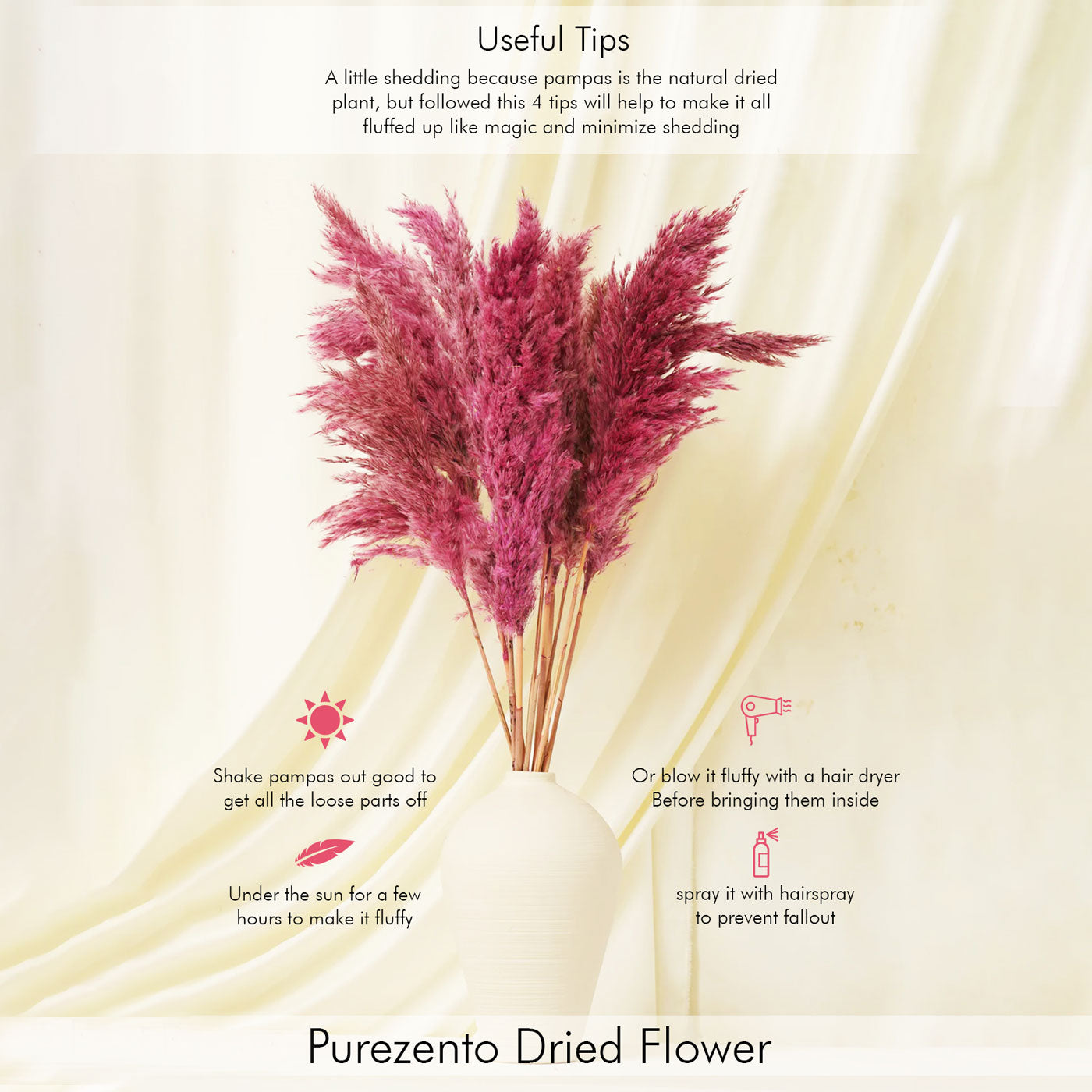 Fluffy Pampas Pink Pack of 5 Stems