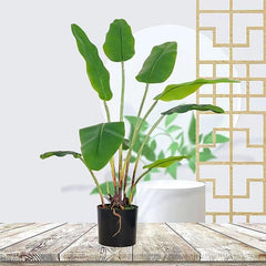 Artificial Real Touch Bananan Plant in a Pot for Interior Decor/Home Decor/Office Decor (75 cm Tall, Green)