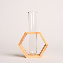Hexagon- Test Tube Vase