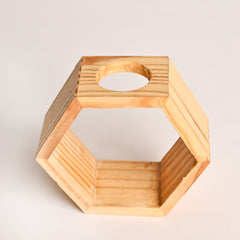 Hexagon- Test Tube Vase