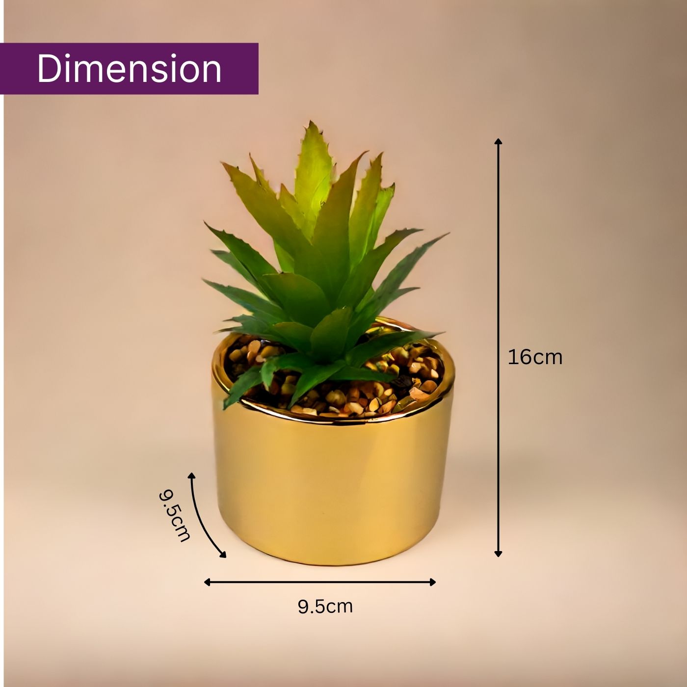 Succulent Plant with Pot for Indoor and Outdoor | Plants Flowerpot Succulent Pots | Planter for Office, Balcony and Home Decoration Items ( 9.5 x 9.5 x 16cm)