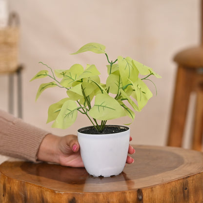 Set of 1 Artificial Plants with Pot