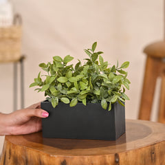 Set of 1 Artificial Plants with Pot