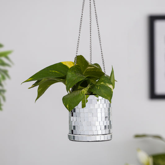 DISCO Cylindrical Metal Hanging Silver Planter with Chain for Home & Office Decor