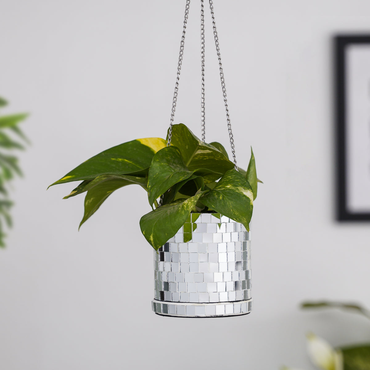 DISCO Cylindrical Metal Hanging Silver Planter with Chain for Home & Office Decor