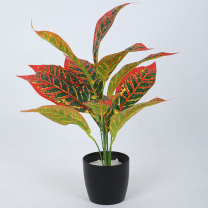 Beautiful Artificial Croton Plant Mini Bush Basic Black Pot for Interior Decor/Home Decor/Office Decor (50 cm Tall, Red, Pack of 2)