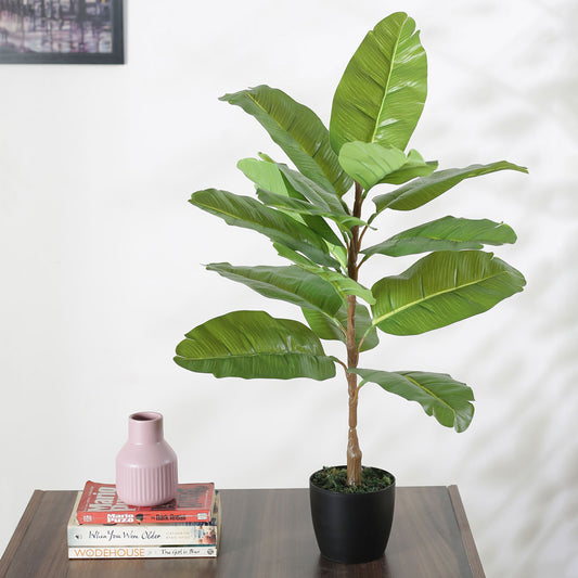 Beautiful Artificial Banana Plant Basic Black Pot for Interior Decor/Home Decor/Office Decor (75 cm Tall, Green)