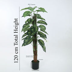 Beautiful Artificial PVC Silk Calatheas Plant with Big Leaves and for Home and Office Décor (With Pot, 120 cm Tall)