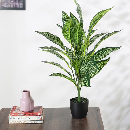 Artificial Croton Plant for Home Decor/Office Decor/Gifting | with Basic Black Pot | Natural Looking Indoor Plant (26 Leaves, 70 cm, Multicolor)