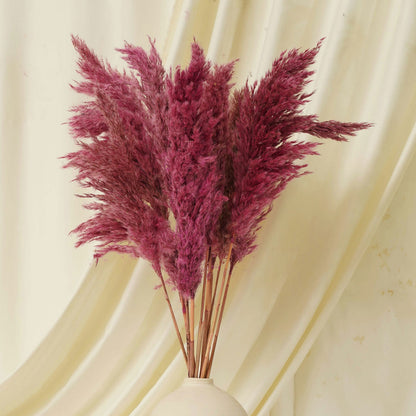 Fluffy Pampas Pink Pack of 5 Stems