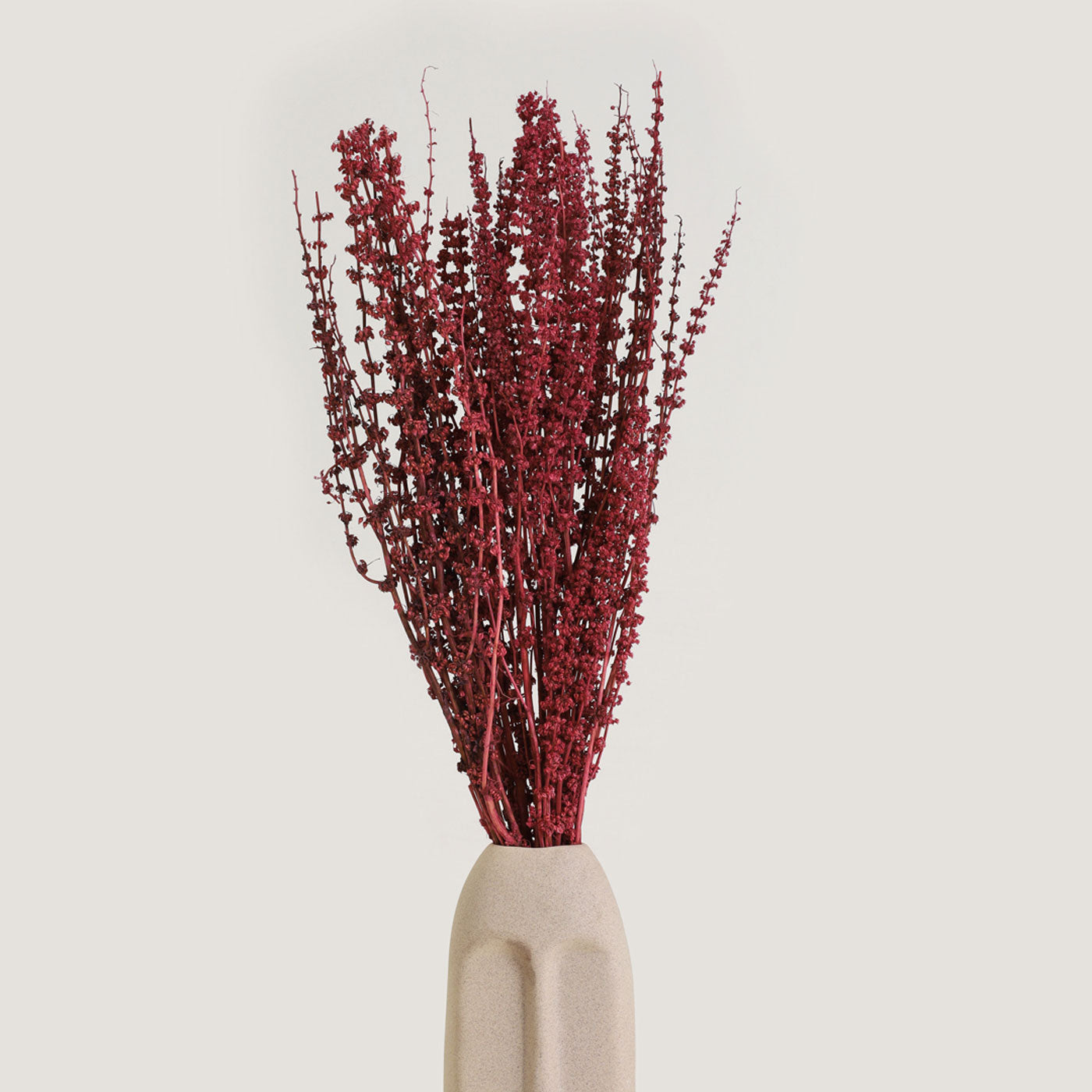 Palam Grass Red Dried Bunch