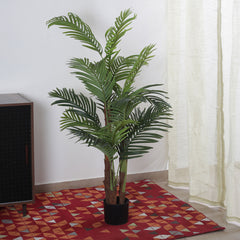 Artificial Areca Palm Plant for Home Decor/Office Decor/Gifting | Natural Looking Indoor Plant (With Pot, 150 cm)