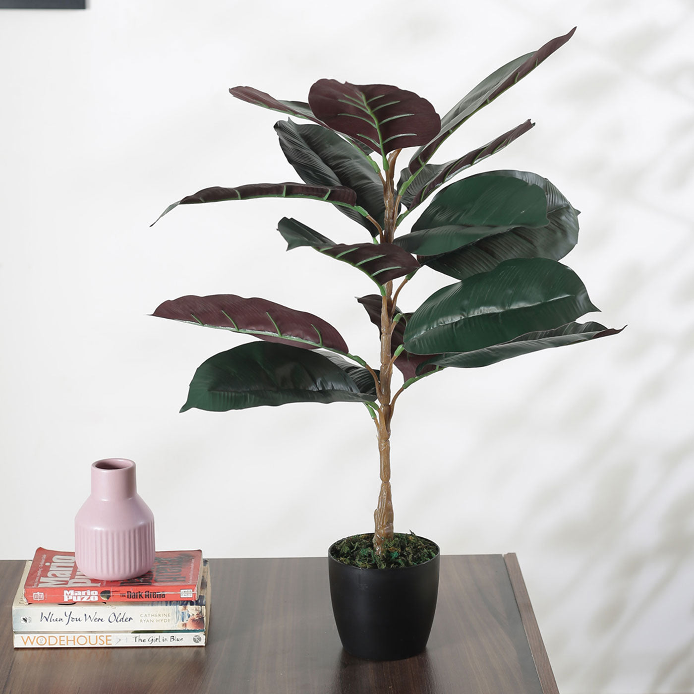 Beautiful Artificial Rubber Plant Basic Black Pot for Interior Decor/Home Decor/Office Decor (75 cm Tall, Green/Red)