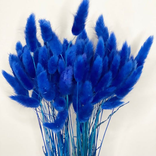 Blue bunny tails